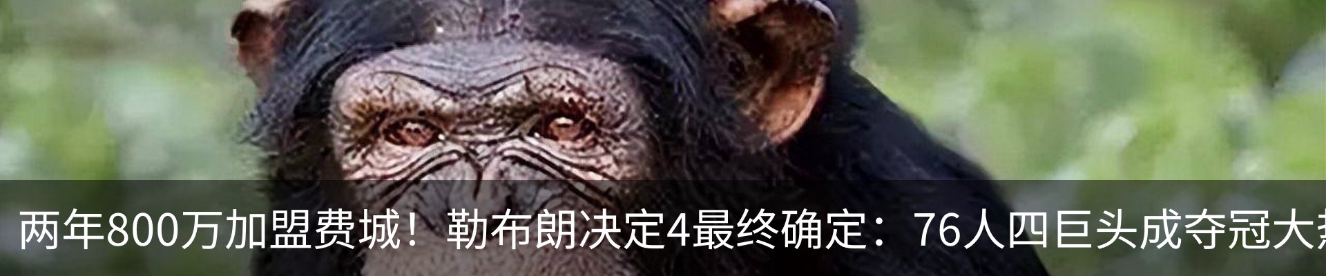 热点资讯